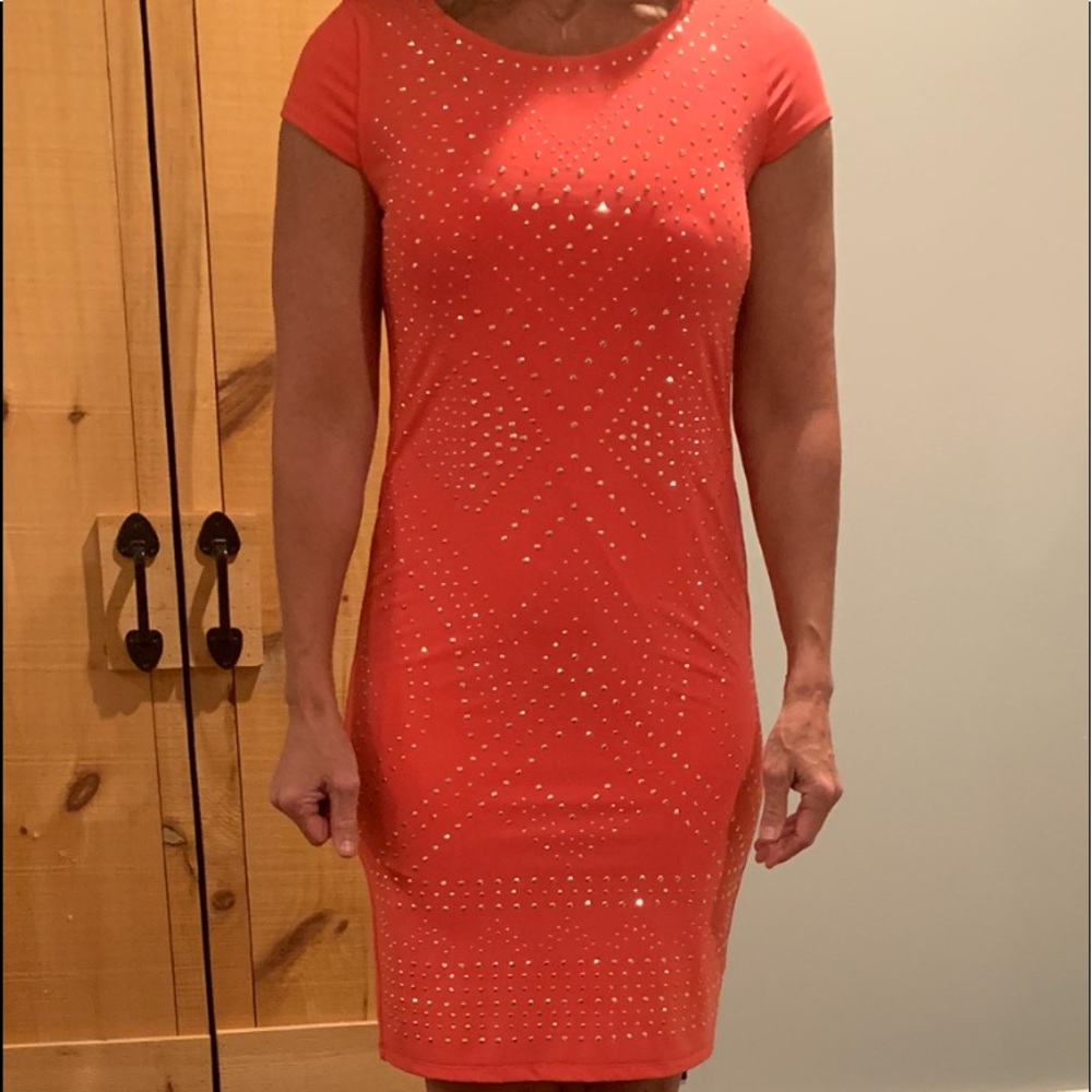 Carmen Marc Valvo Pink Studded Dress